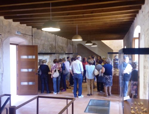 Excursiones a la medida en Cofrentes