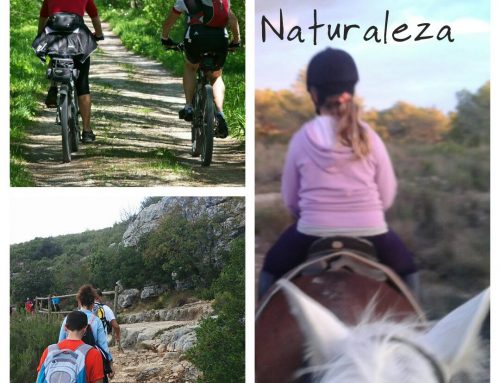 Fusión de Naturaleza: Bike, Senderismo y Ruta a Caballo